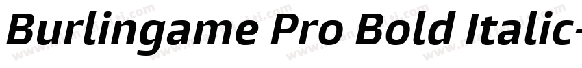 Burlingame Pro Bold Italic字体转换